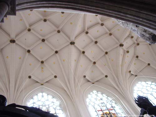 Saint-Michaels' cathedral (Saint-Michael and  Sainte-Gudule) BRUSSELS-CITY / BRUSSELS picture 