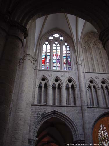 Sint-Michielskathedraal (Sint-Michiels en Sinte-Goedele) BRUSSEL-STAD / BRUSSEL foto Bovenconstructie rechter zijbeuk