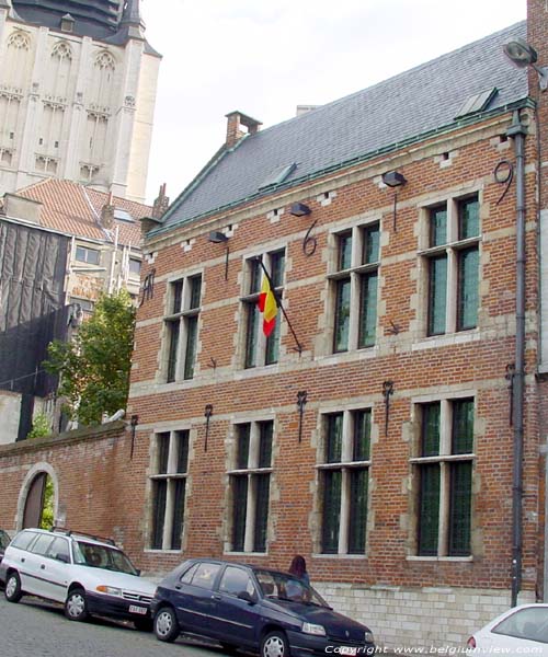 Huis 1619 BRUSSEL-STAD in BRUSSEL / BELGI Voorgevel