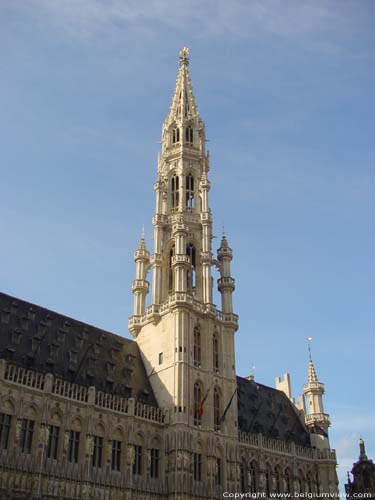 City hall BRUSSELS-CITY / BRUSSELS picture 