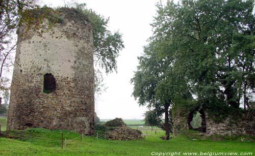 Kasteel en donjon van Walhain (te Walhain-Saint-Paul) WALHAIN / BELGIË Zicht van binnenuit naar de toren