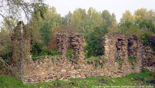 Kasteel en donjon van Walhain (te Walhain-Saint-Paul) WALHAIN / BELGI Overblijfsel van de muren