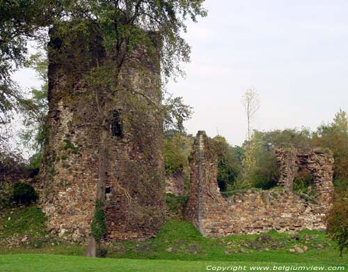 Kasteel en donjon van Walhain (te Walhain-Saint-Paul) WALHAIN / BELGI Toren en muurresten