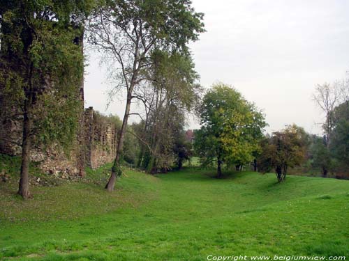 Kasteel en donjon van Walhain (te Walhain-Saint-Paul) WALHAIN foto Duidelijk zichtbare resten van de slotgracht