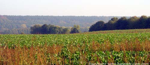 Landschap COURT-SAINT-ETIENNE picture 