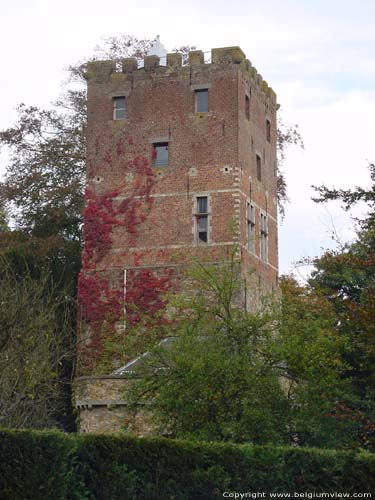 Bierbais Toren MONT-SAINT-GUIBERT foto Bovenaan toren