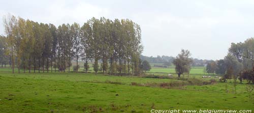 Landschap Moxhe BRAIVES / BELGIUM 