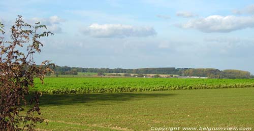 Uitzicht  Perwez PERWEZ in PERWIJS / BELGI Landschap