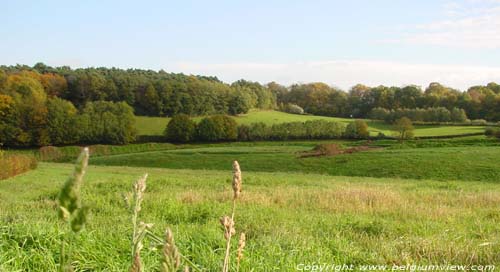 Landschap Dion-Le-Val WAVRE / BELGIQUE 