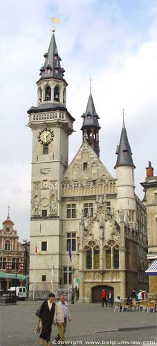 Town hall and belfry AALST picture 