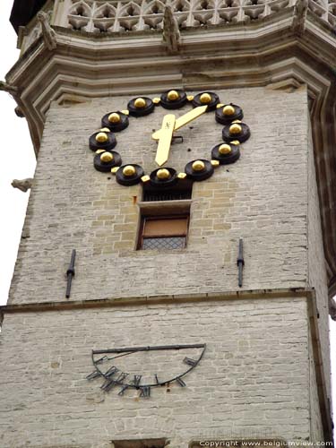 Town hall and belfry AALST picture 