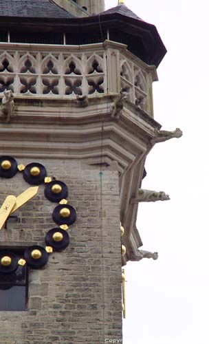 Town hall and belfry AALST picture 