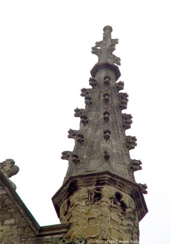 Sint-Martinuskerk AALST foto 