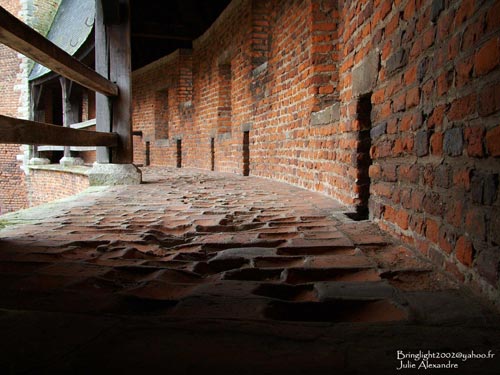 Slot van Beersel - Het Berenkasteel BEERSEL / BELGI Foto ons bezorgd door Julie Alexandre