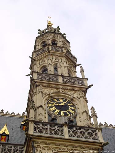 Htel de ville OUDENAARDE  AUDENARDE / BELGIQUE 