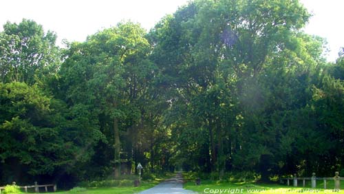 Kasteel van Anvaing ANVAING / FRASNES - LEZ - ANVAING foto 