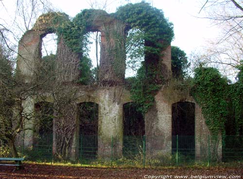 Kasteelrune van Morlanwelz-Mariemont MORLANWELZ / BELGI Resterend stuk gevel