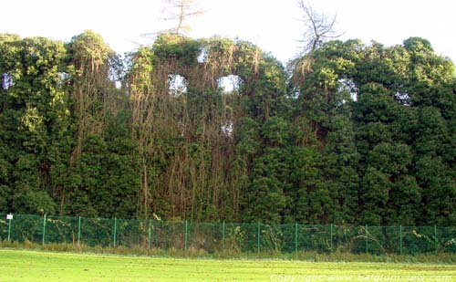 Castle ruine of Morlanwelz-Mariemont MORLANWELZ picture 