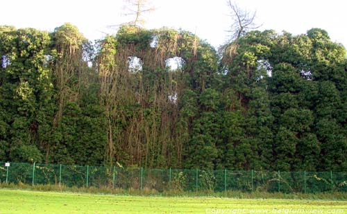 Kasteelrune van Morlanwelz-Mariemont MORLANWELZ foto Alle gevels zijn bijna volledig overwoekerd