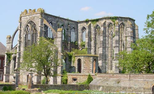 Rune de l'Abbaye d'Aulne (a Gozee) THUIN / BELGIQUE 