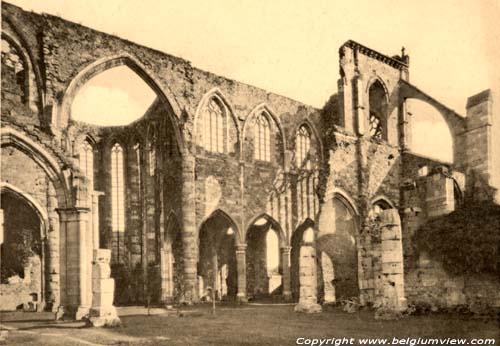Ruïne van de abdij van Aulne (te Gozee) THUIN foto De ruÃ¯ne begin 1900