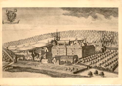 Ruïne de l'Abbaye d'Aulne (a Gozee) THUIN photo