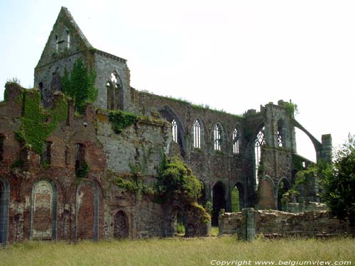 Ruins of Aulne's abbey (in Gozee) THUIN / BELGIUM 