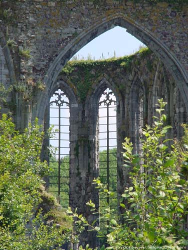 Ruïne de l'Abbaye d'Aulne (a Gozee) THUIN photo