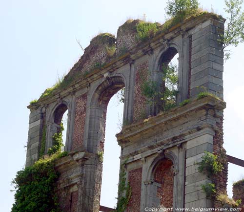 Rune de l'Abbaye d'Aulne (a Gozee) THUIN / BELGIQUE 