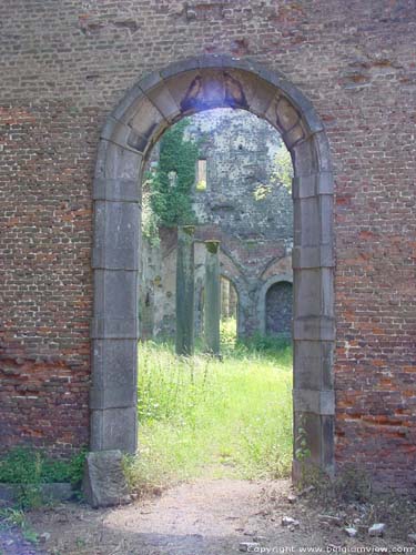 Ruins of Aulne's abbey (in Gozee) THUIN picture 