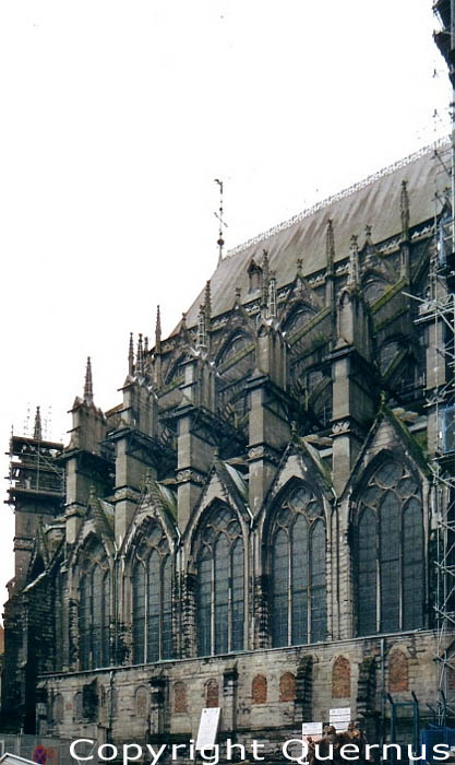 Onze-Lieve-Vrouwekathedraal TOURNAI / DOORNIK foto 