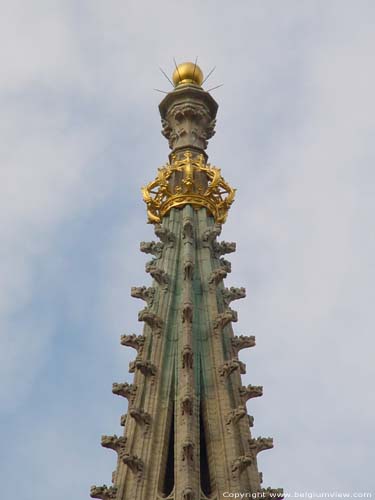 Monument voor Leopold I LAKEN in BRUSSEL / BELGIË Met hogels bezette torenspits, bekroond door een vergulde kroon.