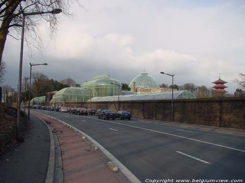 Koninklijke serres LAKEN in BRUSSEL / BELGI 