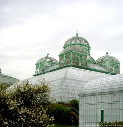 Koninklijke serres LAKEN in BRUSSEL / BELGI 