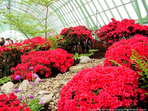 Royal Greenhouses LAKEN / BRUSSEL picture 