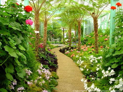 Royal Greenhouses LAKEN in BRUSSEL / BELGIUM 