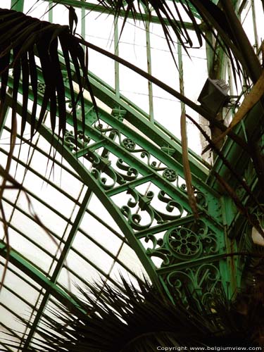 Royal Greenhouses LAKEN in BRUSSEL / BELGIUM 