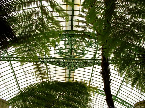 Royal Greenhouses LAKEN in BRUSSEL / BELGIUM 