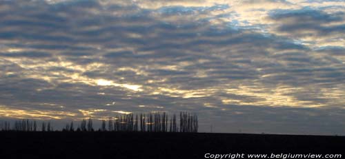 Landschap OUPEYE / BELGIUM 