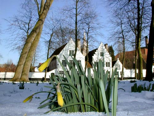 Begijnhof Ten Wijngaerde BRUGGE foto 