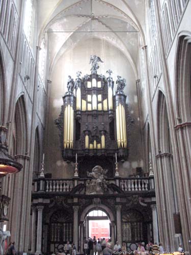 Sint-Salvatorskathedraal BRUGGE / BELGIË Het orgel werd van 1619 tot 1717 gebouwd
