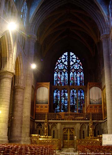 Sint-Pauluskathedraal LIEGE 1 in LUIK / BELGI 