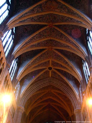 Sint-Pauluskathedraal LIEGE 1 / LUIK foto 