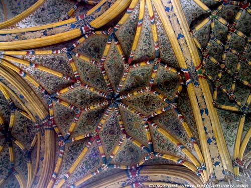 Collegiale Sint-Jacobuskerk LIEGE 1 in LUIK / BELGI Prachtig stergewelf