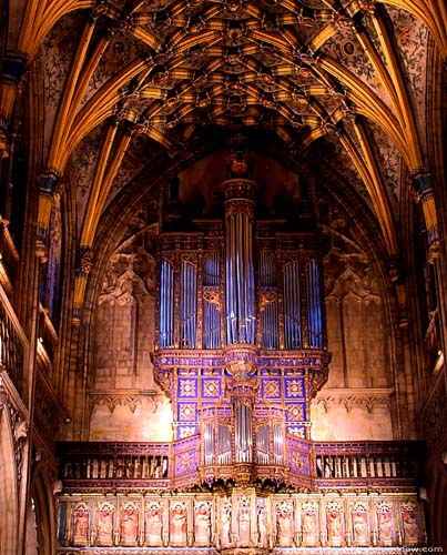 Collegiale Sint-Jacobuskerk LIEGE 1 in LUIK / BELGI Renaissance orgelkast uit 1600 met een modern orgel