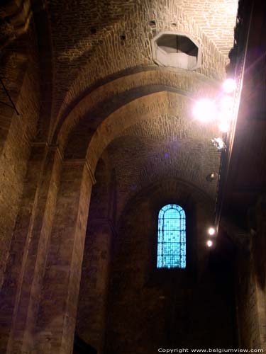 Collegiale Sint-Jacobuskerk LIEGE 1 in LUIK / BELGI Hoog tongewelf in de westbouw