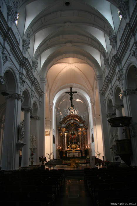 Sint-Bartholomeuskerk LIEGE 1 / LUIK foto 