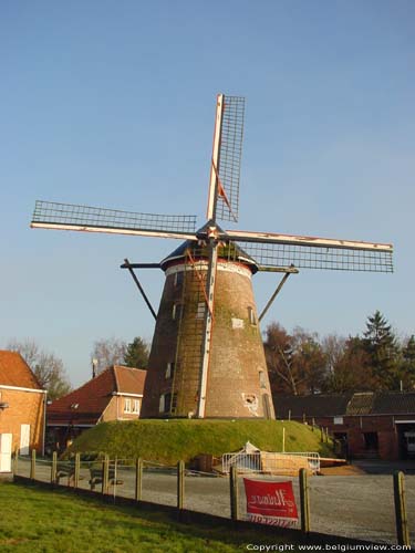 Large Napoleon HAMME / BELGIUM 