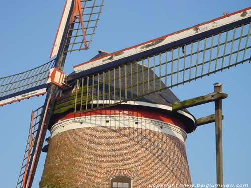 Large Napoleon HAMME / BELGIUM 