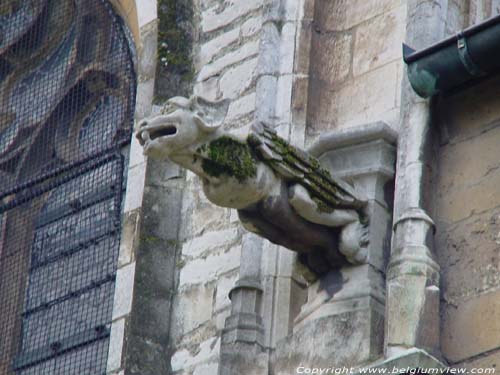 Saint-Waldetrudis' church HERENTALS picture